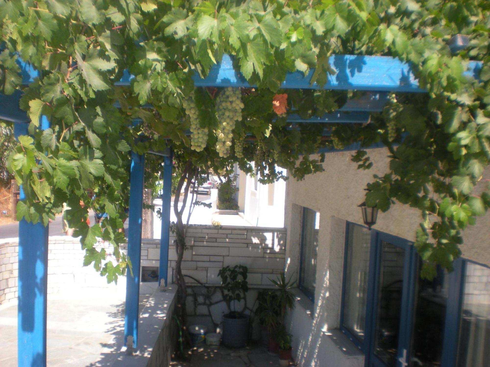Hotel Rea Naxos City Exterior foto